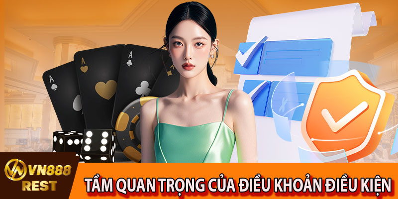 Tại sao điều khoản điều kiện lại vô cùng quan trọng?