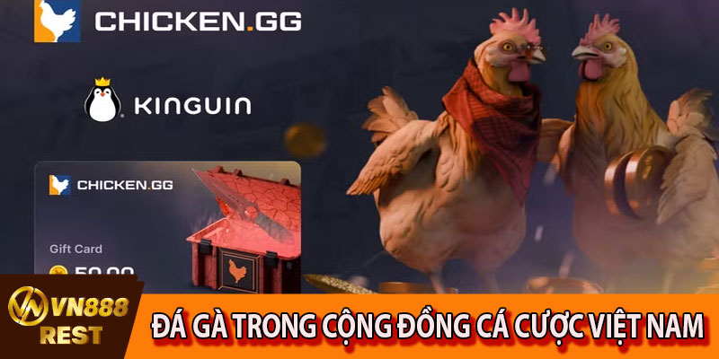 Đá gà VN88 trong cộng đồng cá cược tại Việt Nam