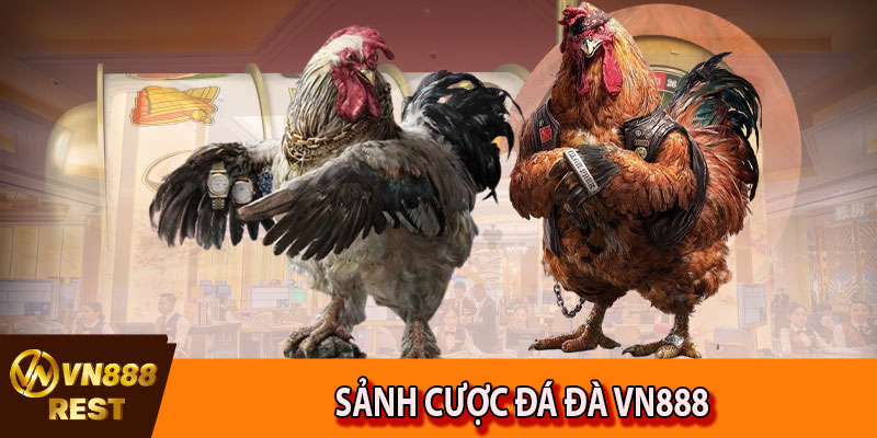 Sảnh cược đá đà VN888