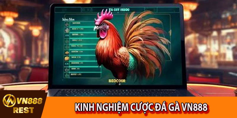 Kinh nghiệm cược đá gà VN888