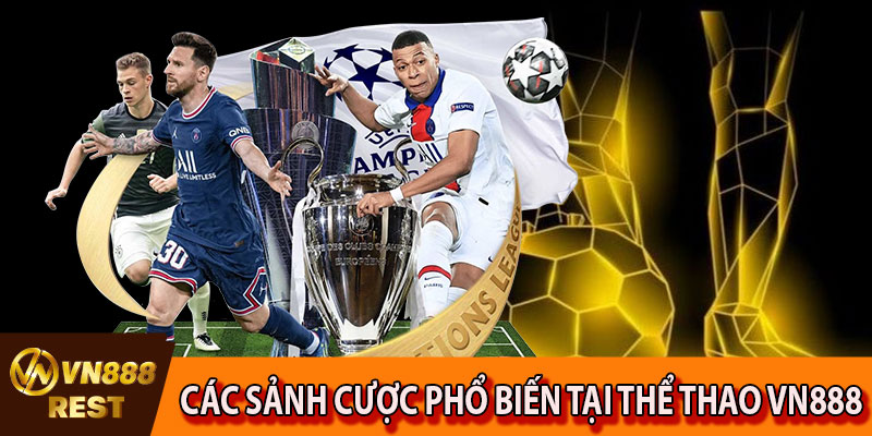 Các sảnh cược phổ biến tại thể thao VN888